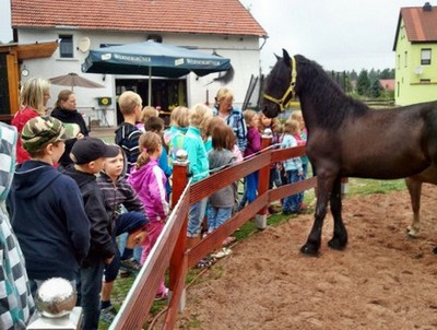 Pferdepension Gäste