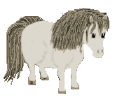 dickes pferd